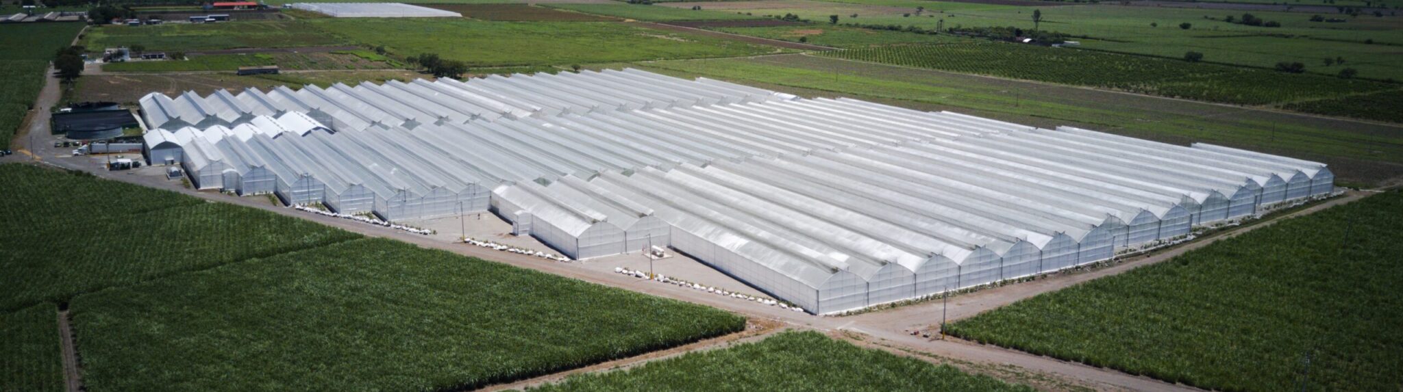 Greenhouse Construction Costs: Planning a Project