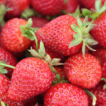 greenhouse hydroponic strawberry seeds
