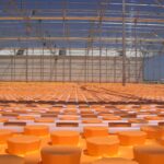 greenhouse heating seeds