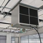 greenhouse technology seeds