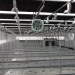 greenhouse seeds growing benches