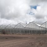 research greenhouse manufacturing worldwide