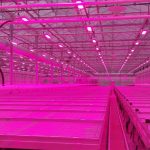 J. Huete Greenhouses project for agricultural R&D facility