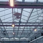 greenhouse seeds lighting