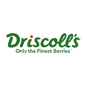 logo driscolls web