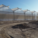enza zaden murcia drone finca hueso (19)