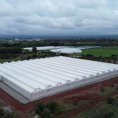 VAL invernadero aerea drone mexico fresa hidroponica web (2)