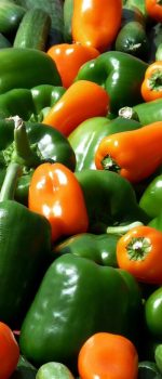 peppers research greenhouse